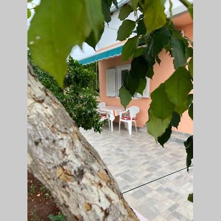 Manuel Apartment Korcula Town Bagian luar foto